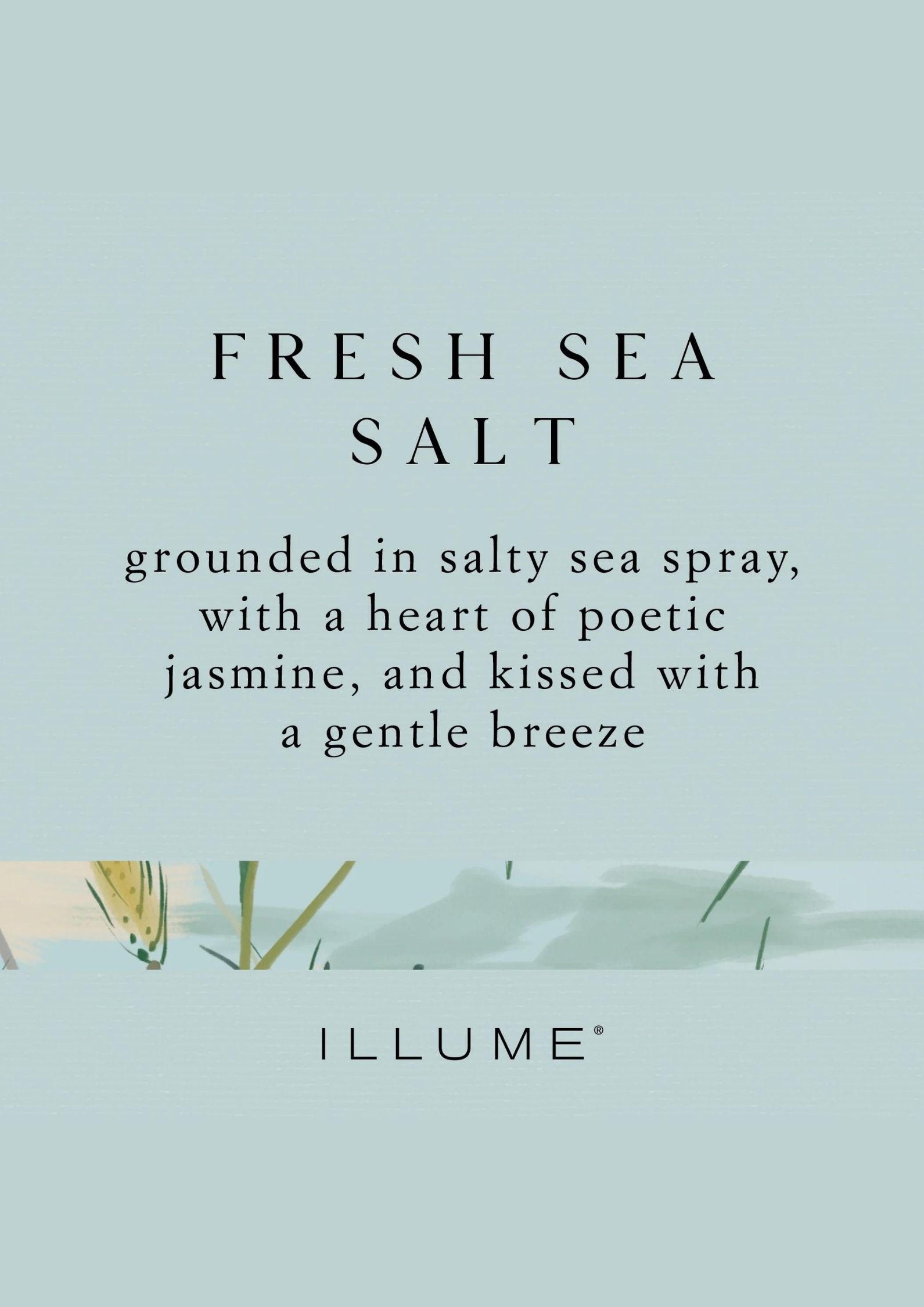 Demi Vanity Tin Candle | Fresh Sea Salt - Imagen 6
