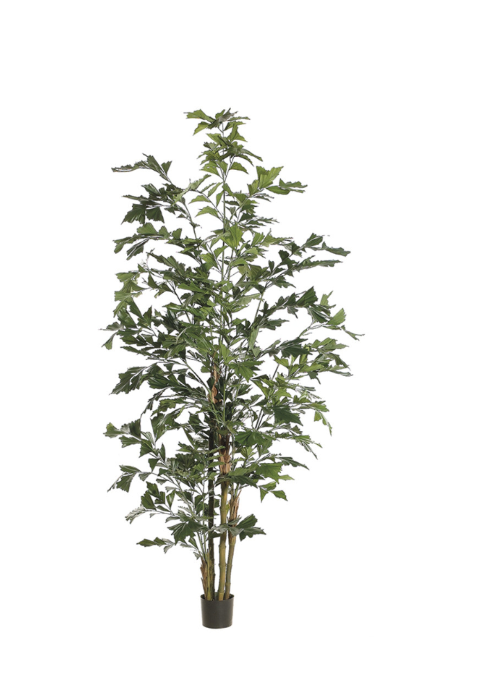 8' Flying Fishtail Silk Palm Tree w/Pot - Green